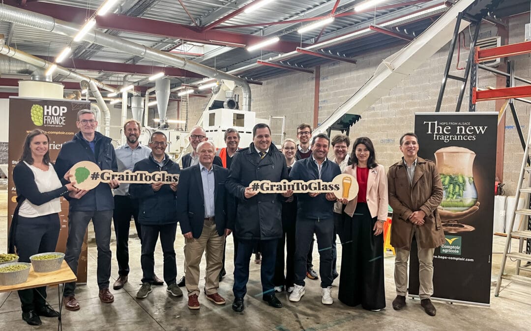 Our field trip to see hops in Alsace